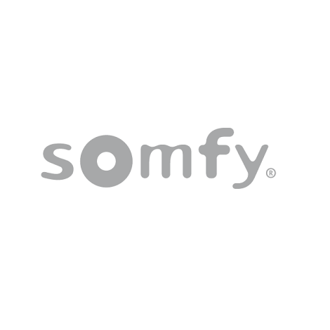Two Channel Keytis 2 Remote Control For Garage Somfy Shop Uk